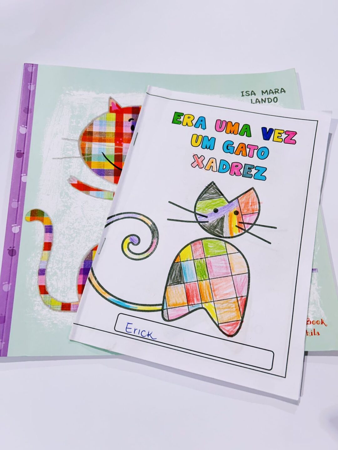 LIVRINHO: O GATO XADREZ