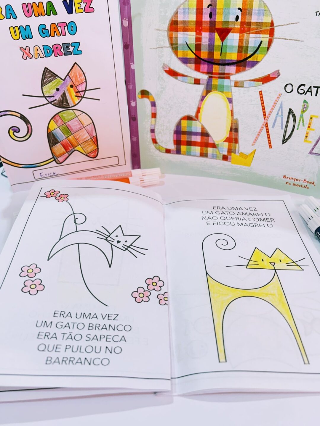 LIVRINHO: O GATO XADREZ - Image 6